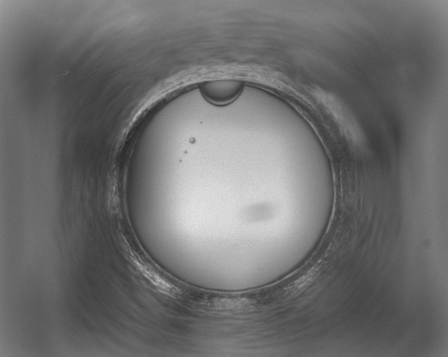 X0000057081498200509120906