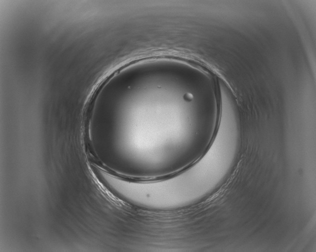 X0000057081500200509120906