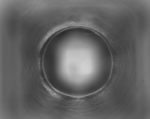 X0000057081503200509120906