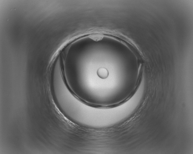 X0000057081504200509120906