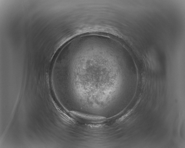 X0000057081505200509120907