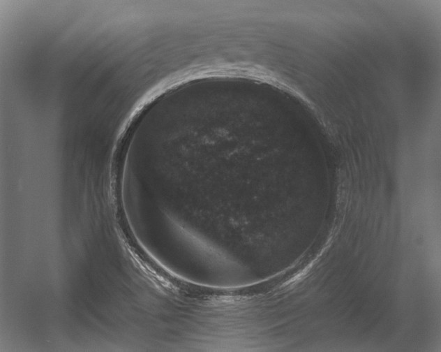 X0000057081506200509120907