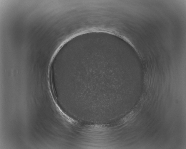 X0000057081508200509120907