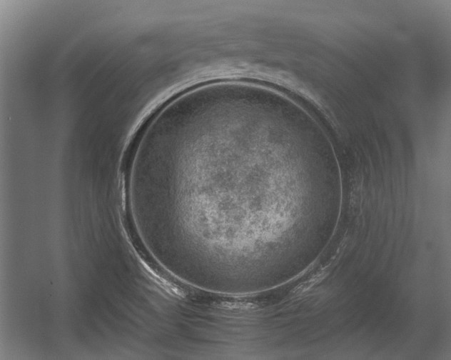 X0000057081509200509120907