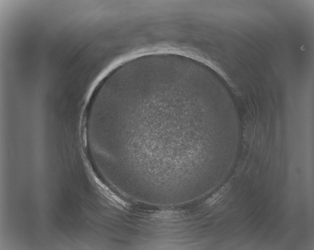 X0000057081510200509120907