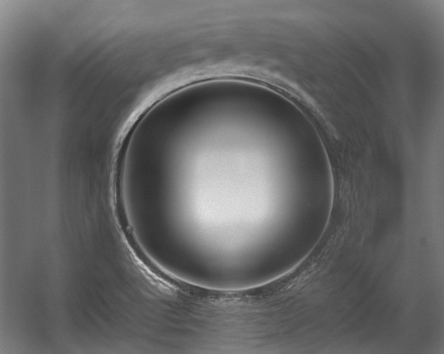 X0000057081512200509120907