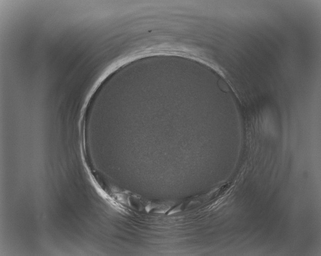 X0000057081515200509120907