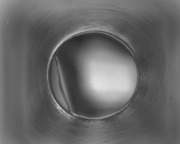 X0000057081516200509120907