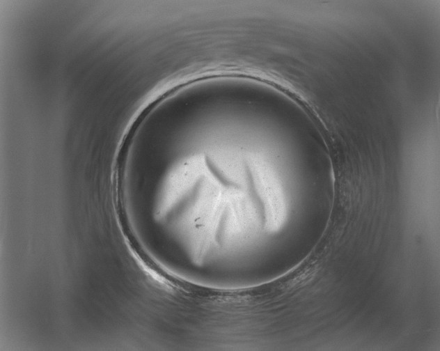 X0000057081519200509120907