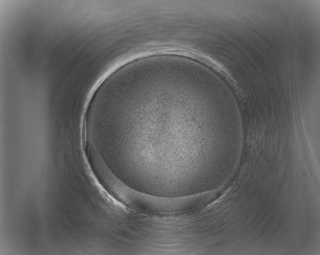 X0000057081520200509120907