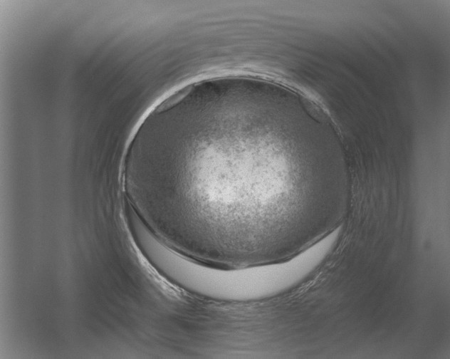 X0000057081524200509120907