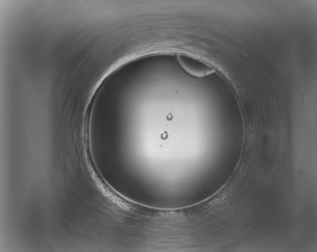 X0000057081526200509120907