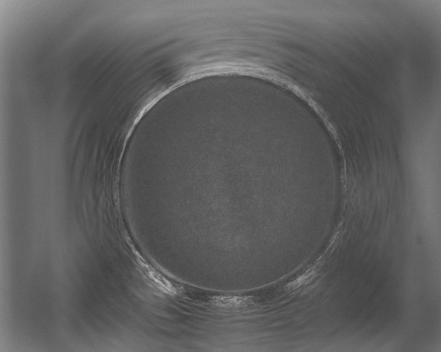 X0000057081529200509120907