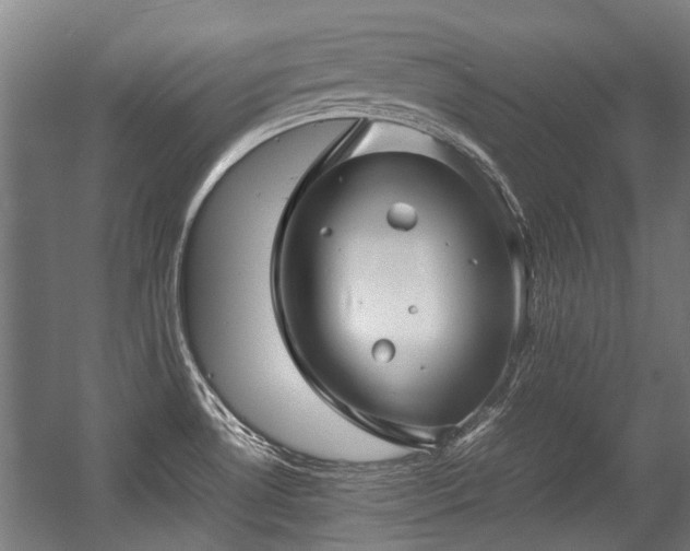 X0000057081530200509120907