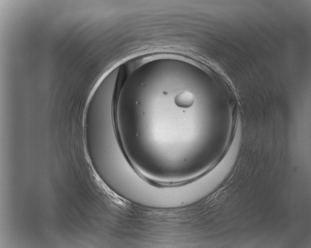 X0000057081532200509120907