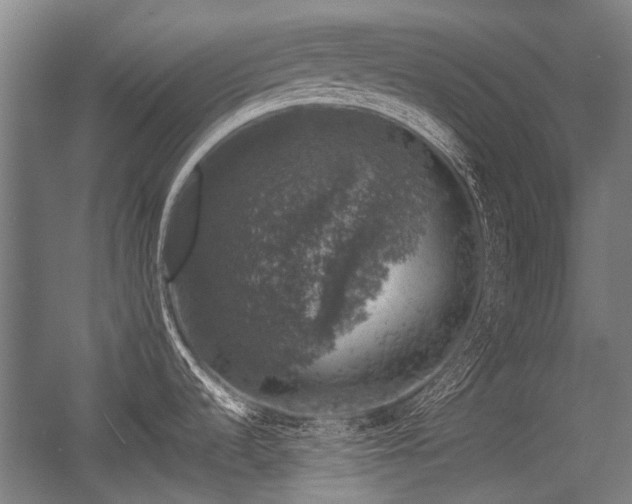 X0000057081536200509120907