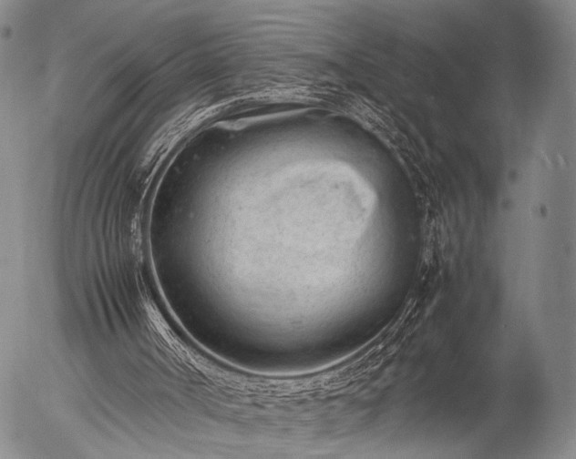 X0000057080002200509161616