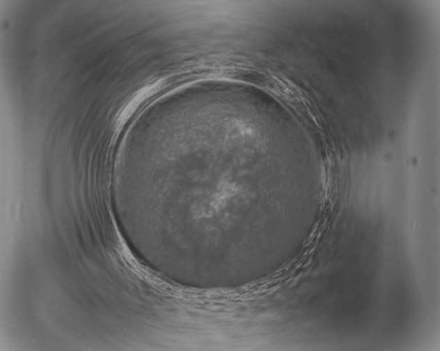 X0000057080003200509161616