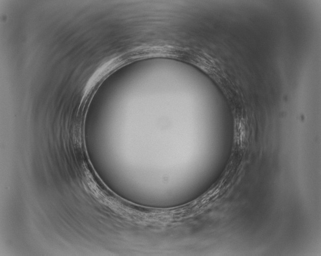 X0000057080004200509161616