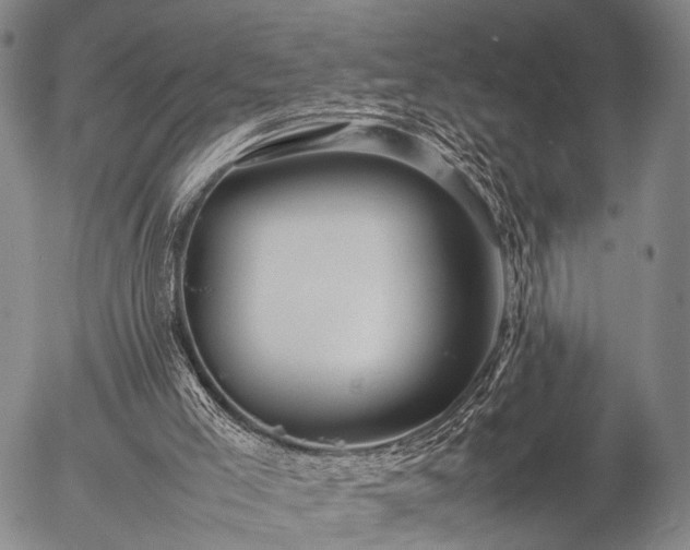 X0000057080005200509161616