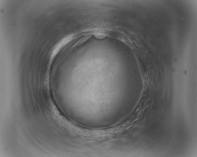 X0000057080006200509161616