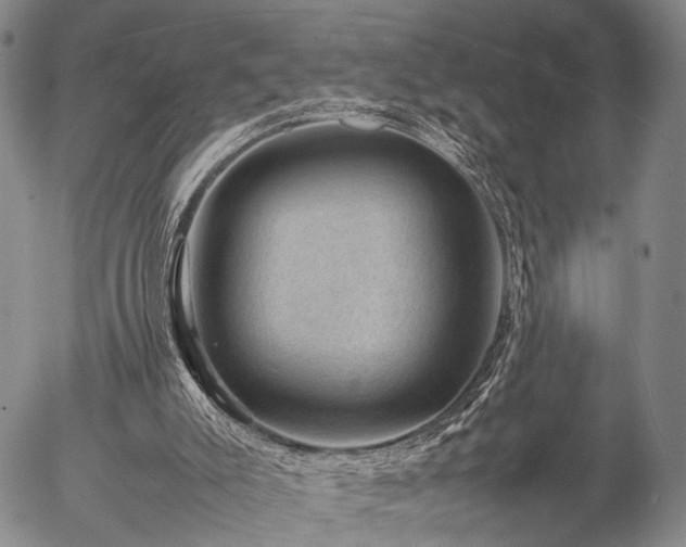 X0000057080007200509161616