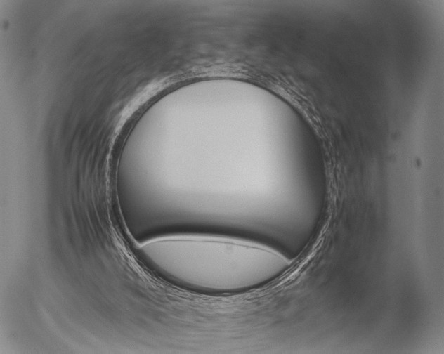 X0000057080008200509161616