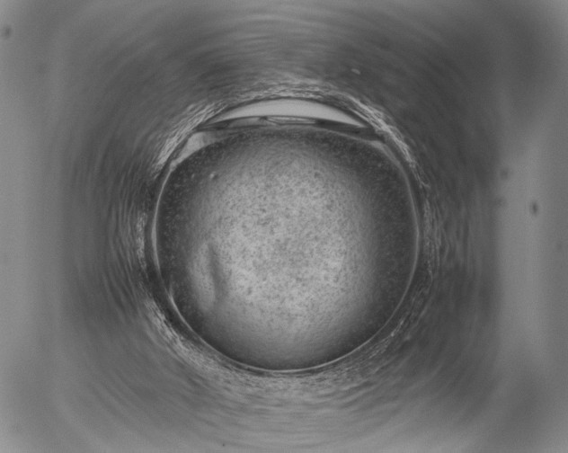 X0000057080010200509161616