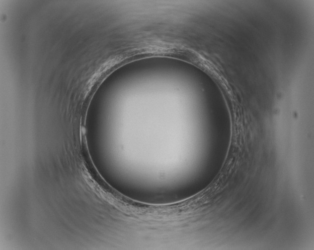 X0000057080011200509161616