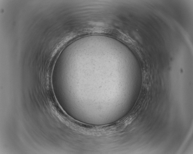 X0000057080012200509161616