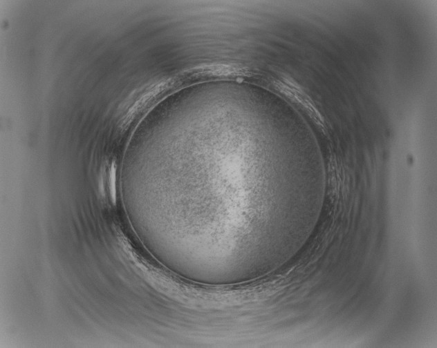 X0000057080014200509161615