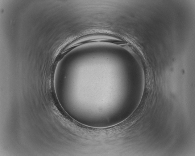 X0000057080015200509161615