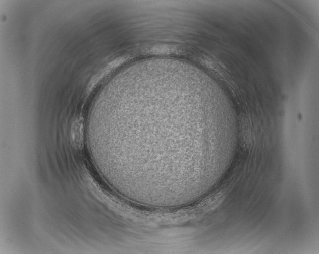 X0000057080016200509161615