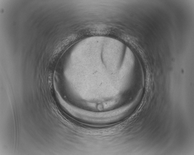 X0000057080017200509161615