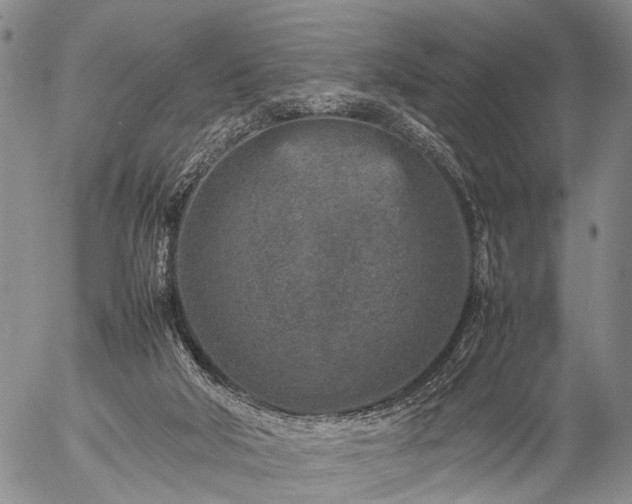 X0000057080018200509161615