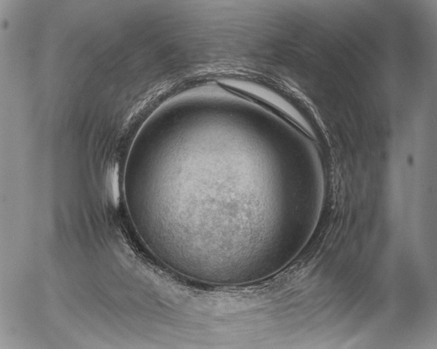 X0000057080020200509161615