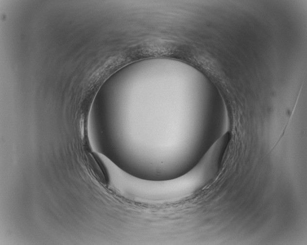 X0000057080021200509161615