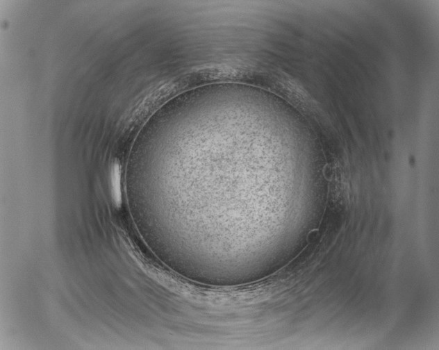 X0000057080022200509161615