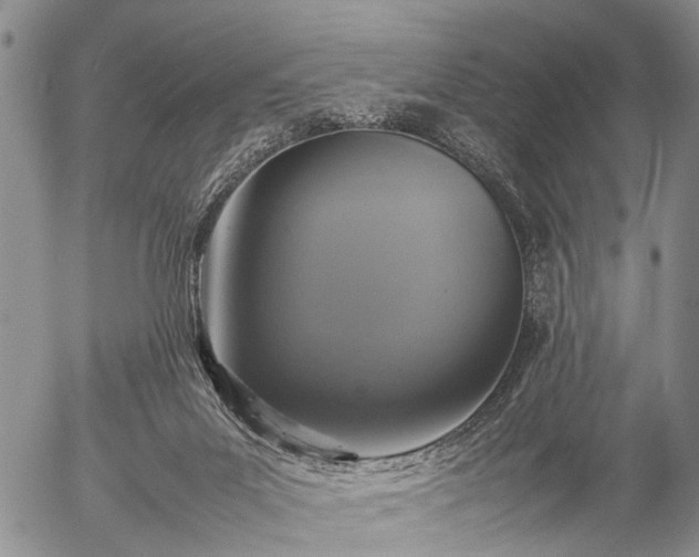 X0000057080023200509161615