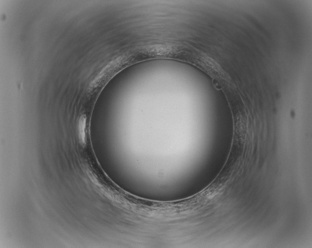 X0000057080024200509161615