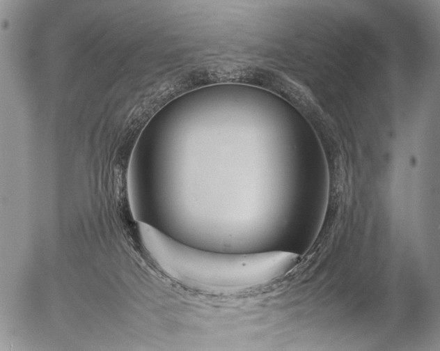 X0000057080025200509161615