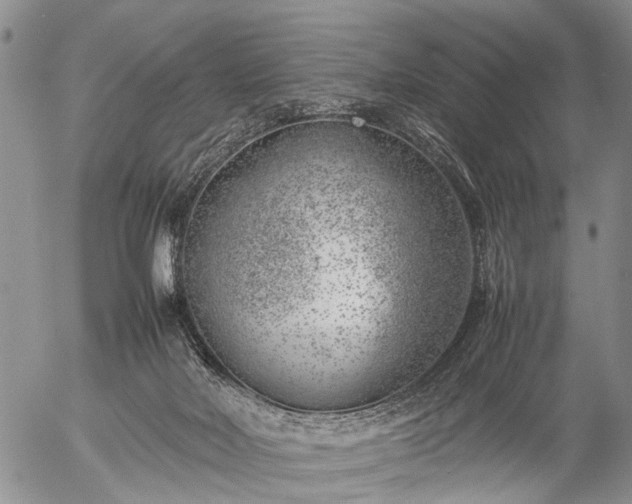 X0000057080026200509161615