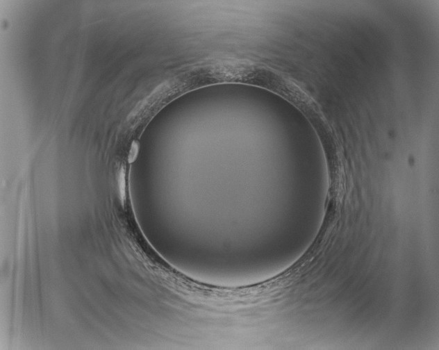 X0000057080027200509161615