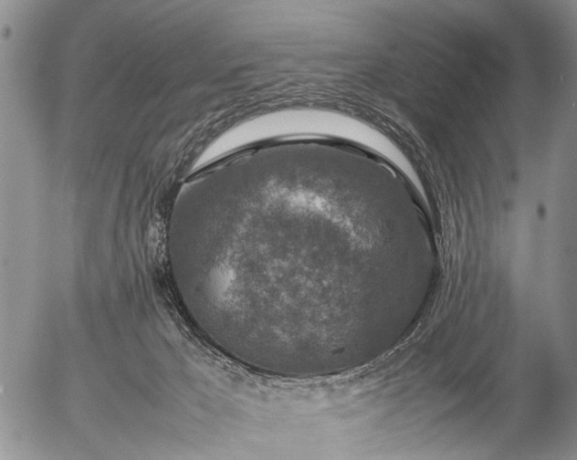 X0000057080029200509161615