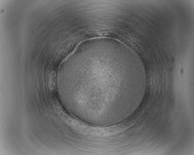 X0000057080030200509161615