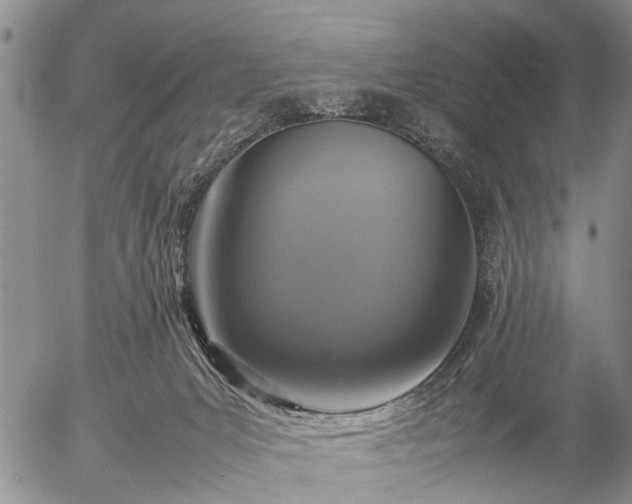 X0000057080031200509161615