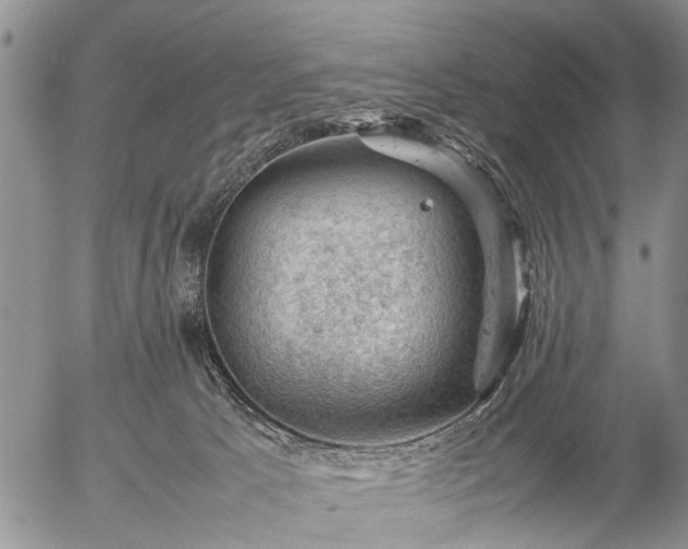 X0000057080033200509161615