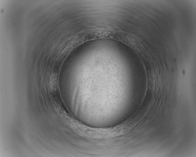 X0000057080034200509161615