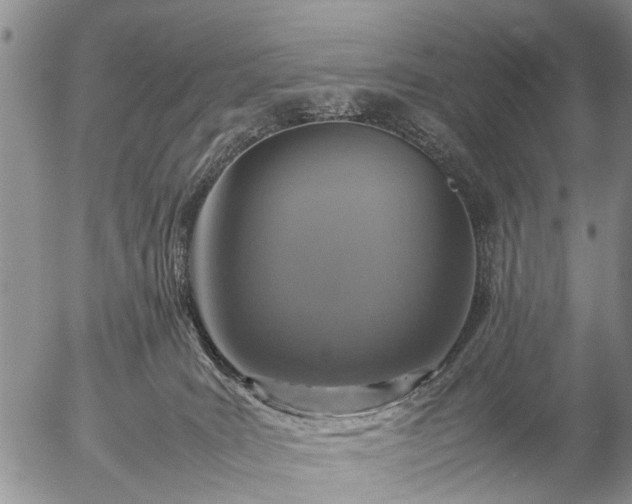 X0000057080035200509161615