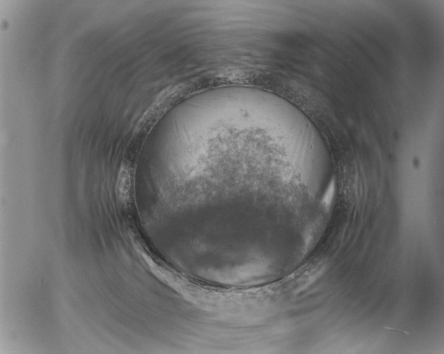 X0000057080036200509161615